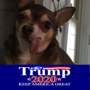 Meet your Posher, Doreen